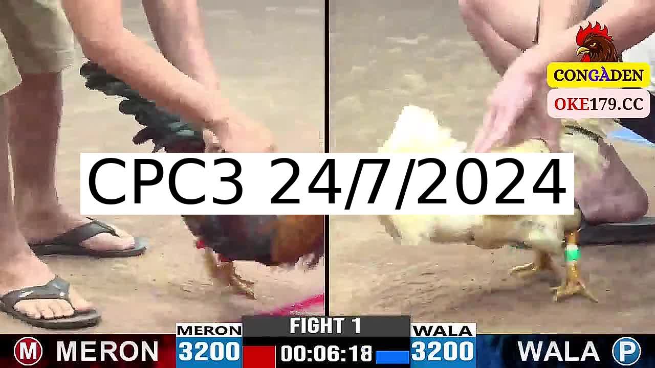 Full 39 Trận - Video đá gà trực tiếp CPC3 Campuchia ngày 24/7/2024