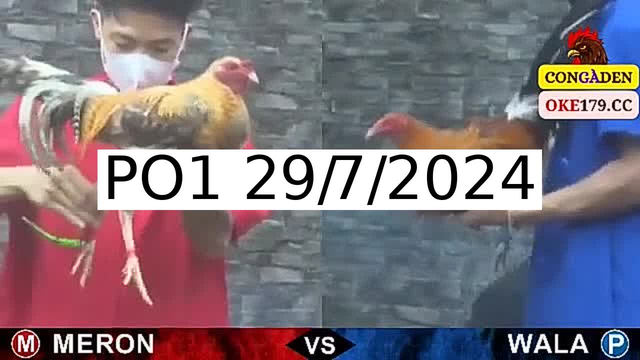 Full 178 Trận - Video đá gà trực tiếp PO1 Campuchia ngày 29/7/2024