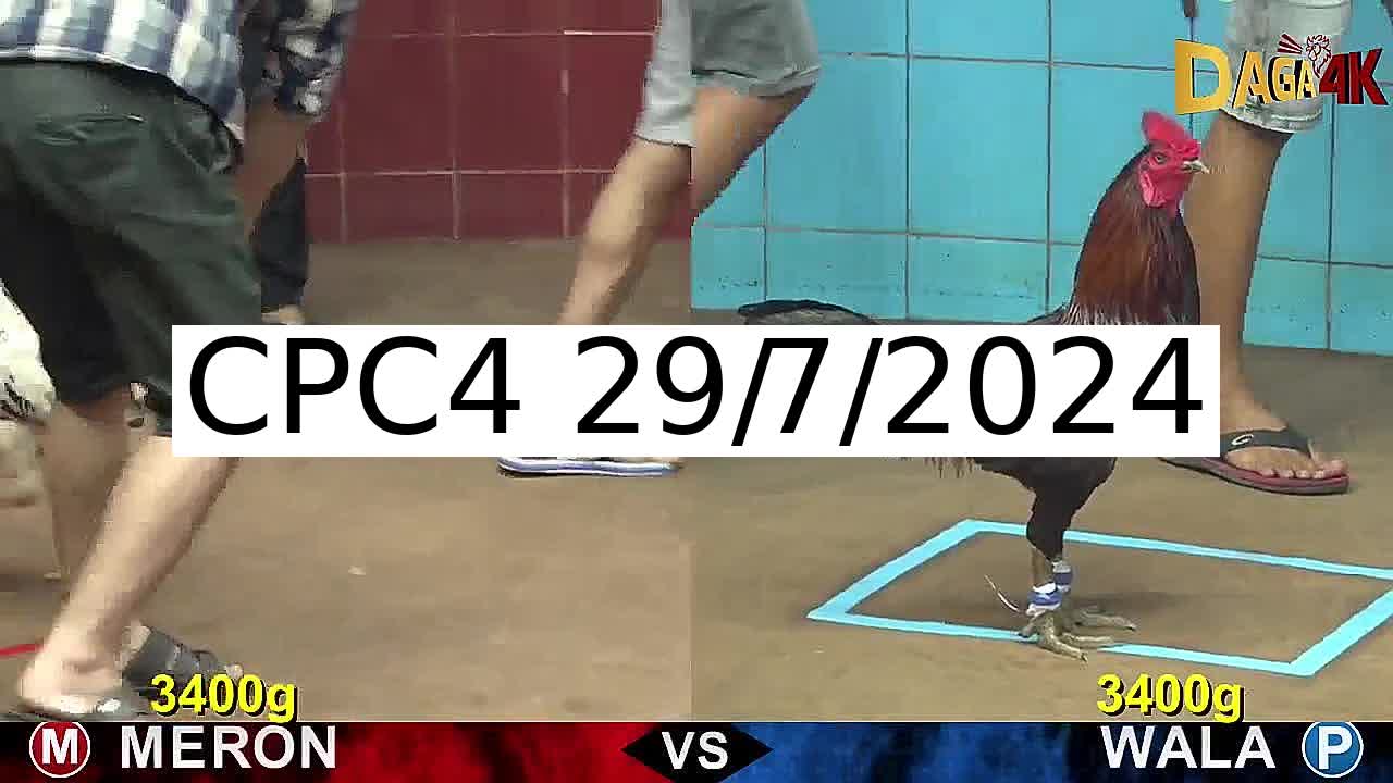 Full 32 Trận - Video đá gà trực tiếp CPC4 Campuchia ngày 29/7/2024