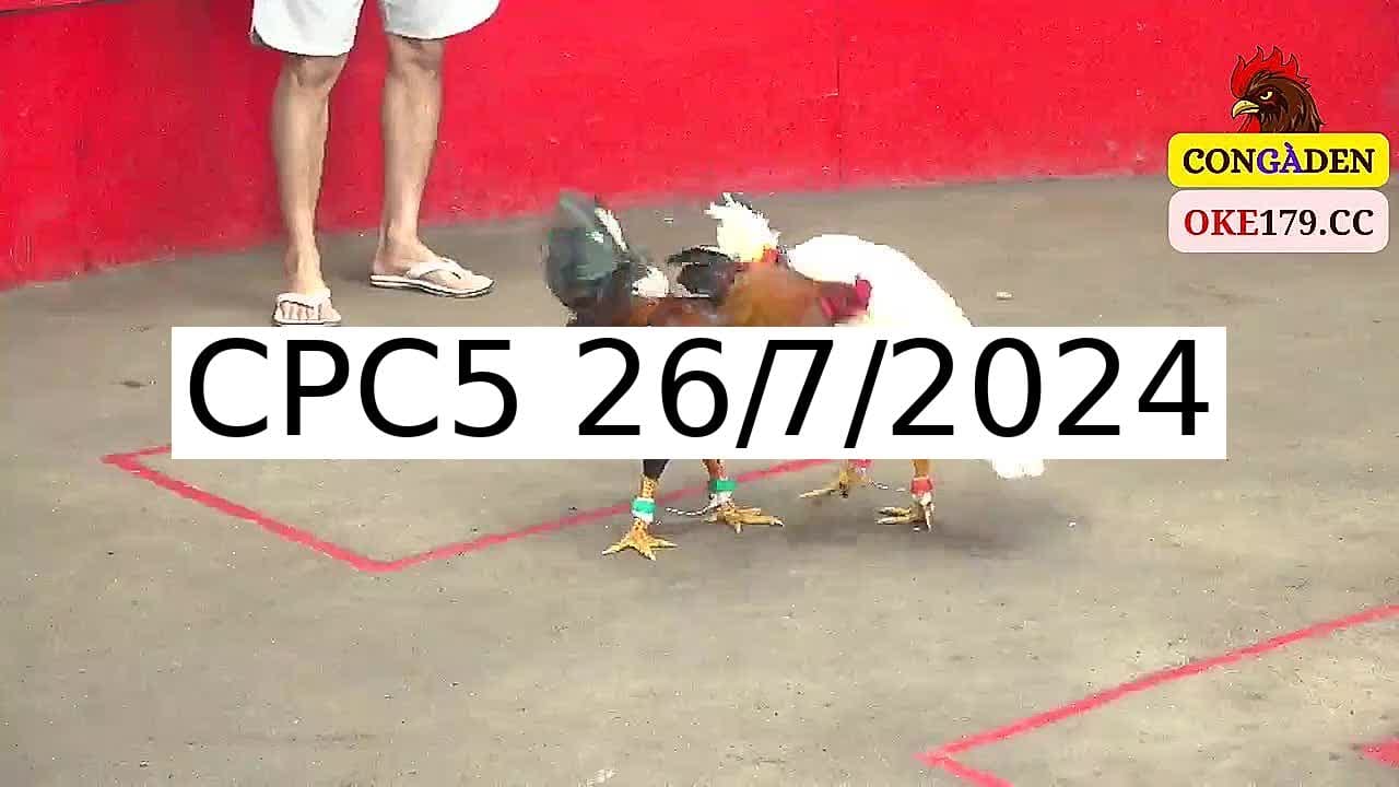 Full 35 Trận - Video đá gà trực tiếp CPC5 Campuchia ngày 26/7/2024