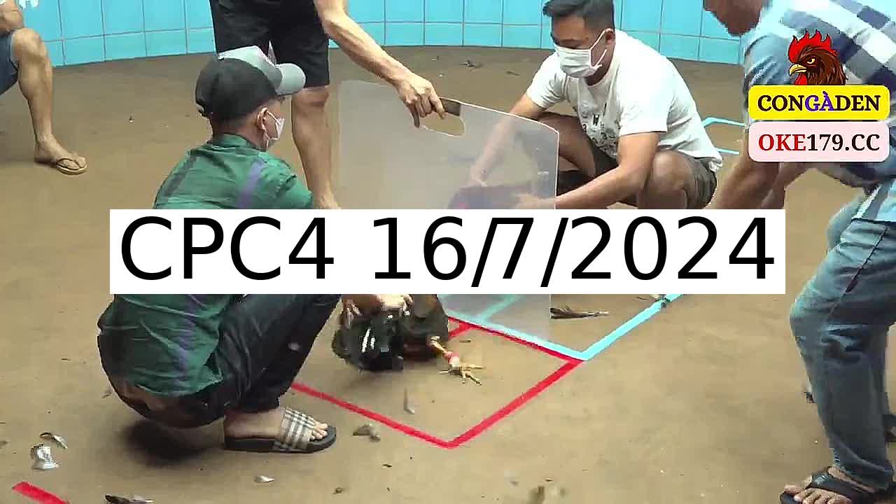 Full 28 Trận - Video đá gà trực tiếp CPC4 Campuchia ngày 16/7/2024