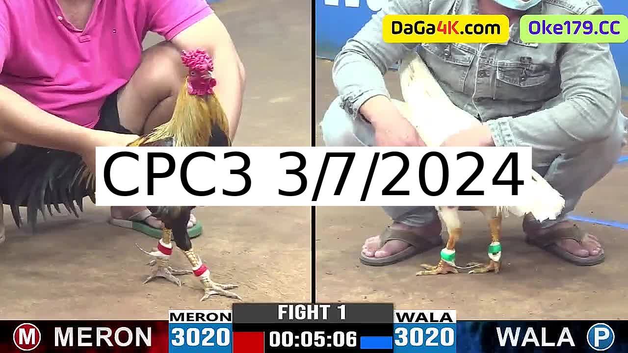 Full 25 Trận - Video đá gà trực tiếp CPC3 Campuchia ngày 3/7/2024