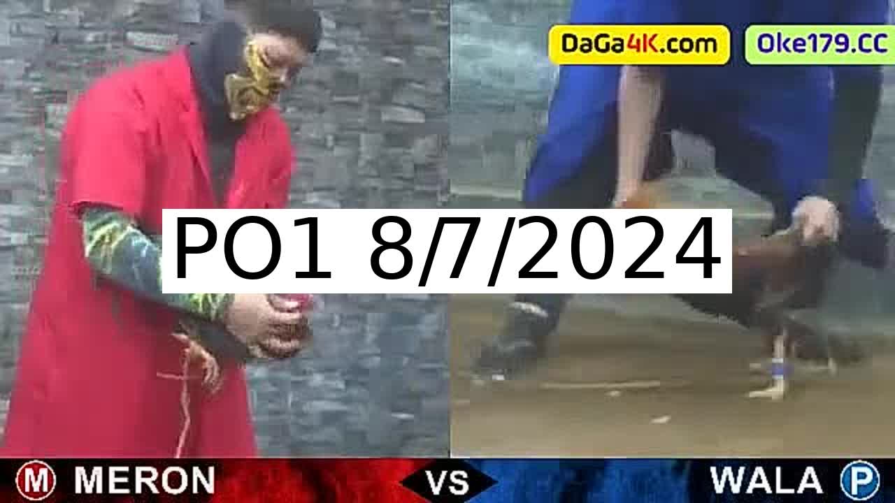 Full 109 Trận - Video đá gà trực tiếp PO1 Campuchia ngày 8/7/2024