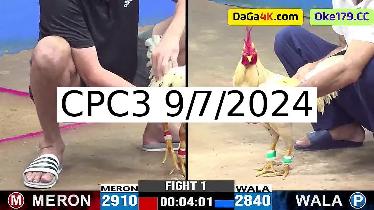 Full 32 Trận - Video đá gà trực tiếp CPC3 Campuchia ngày 9/7/2024