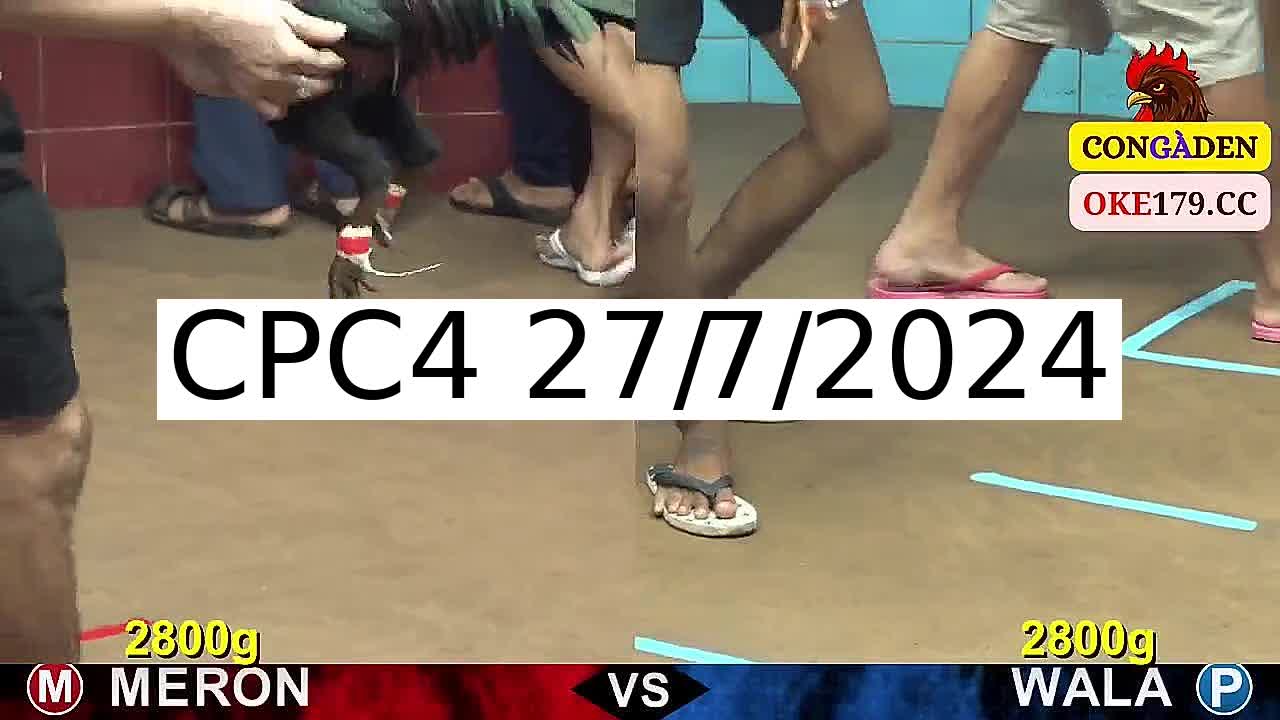 Full 13 Trận - Video đá gà trực tiếp CPC4 Campuchia ngày 27/7/2024