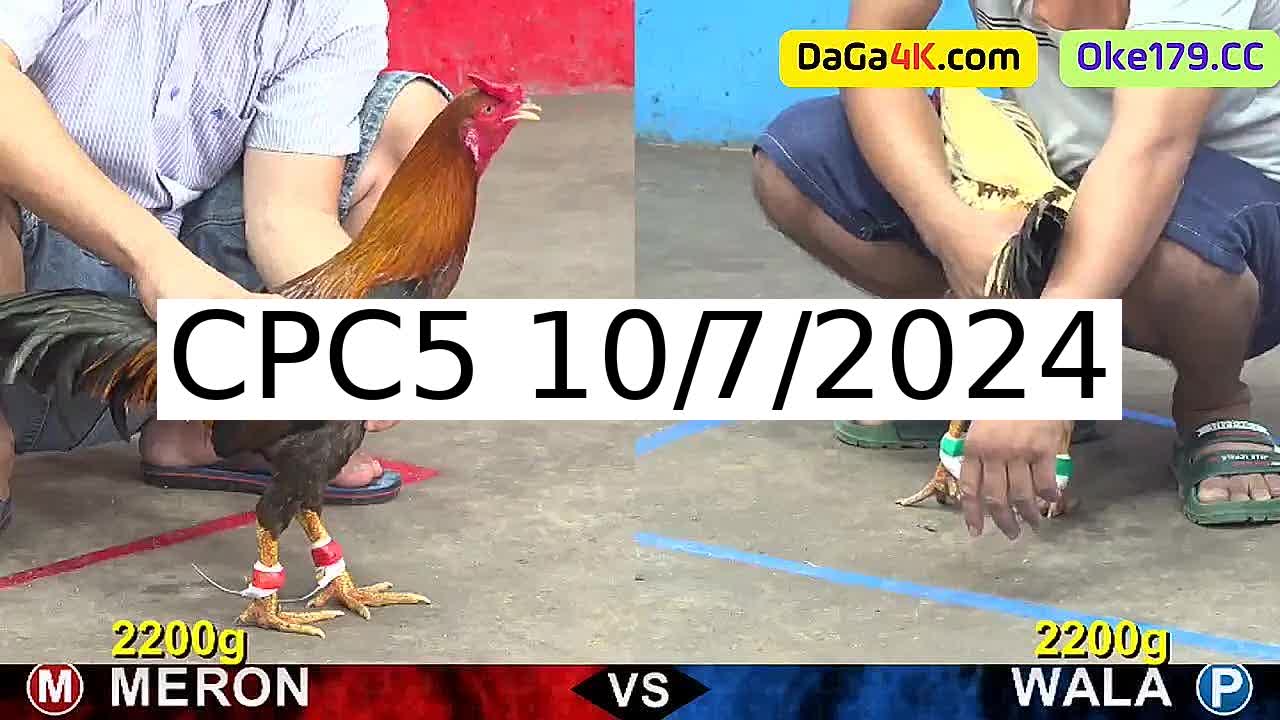 Full 19 Trận - Video đá gà trực tiếp CPC5 Campuchia ngày 10/7/2024