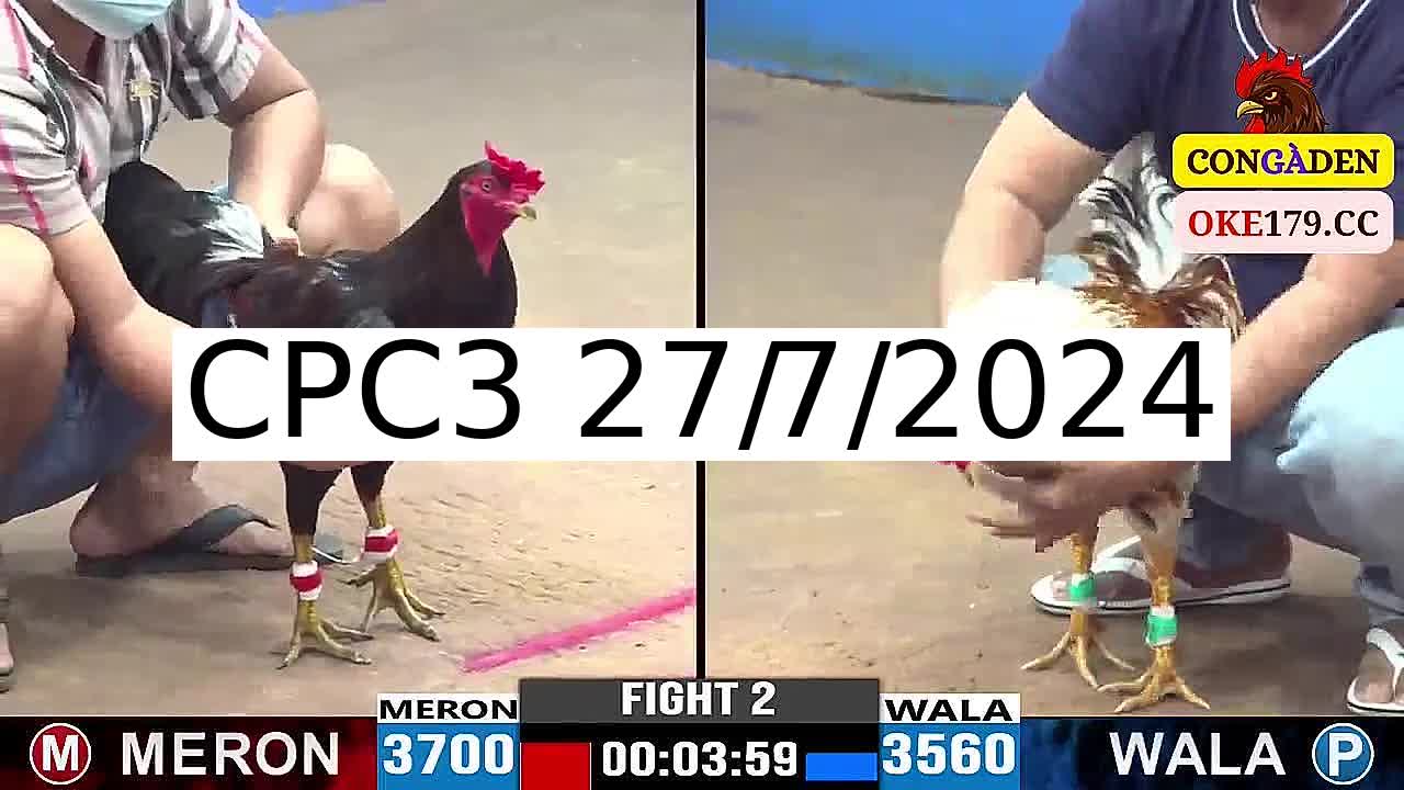 Full 12 Trận - Video đá gà trực tiếp CPC3 Campuchia ngày 27/7/2024