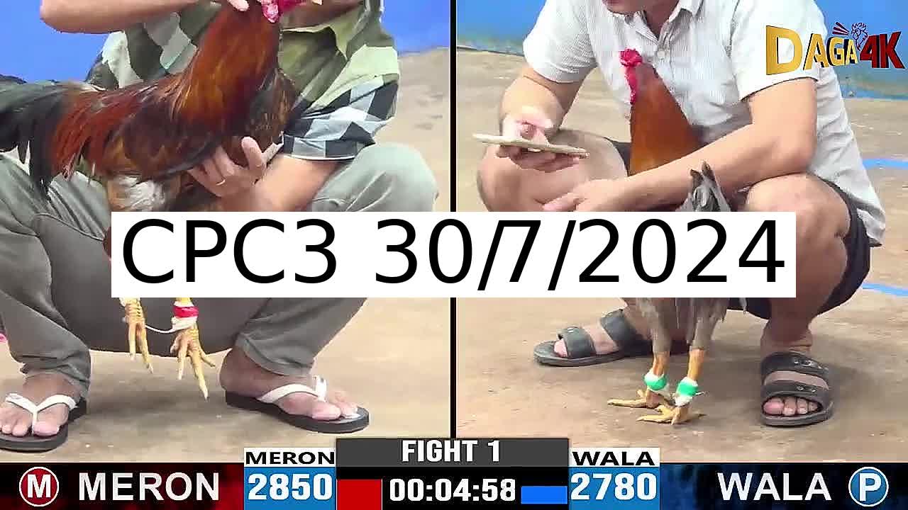 Full 43 Trận - Video đá gà trực tiếp CPC3 Campuchia ngày 30/7/2024