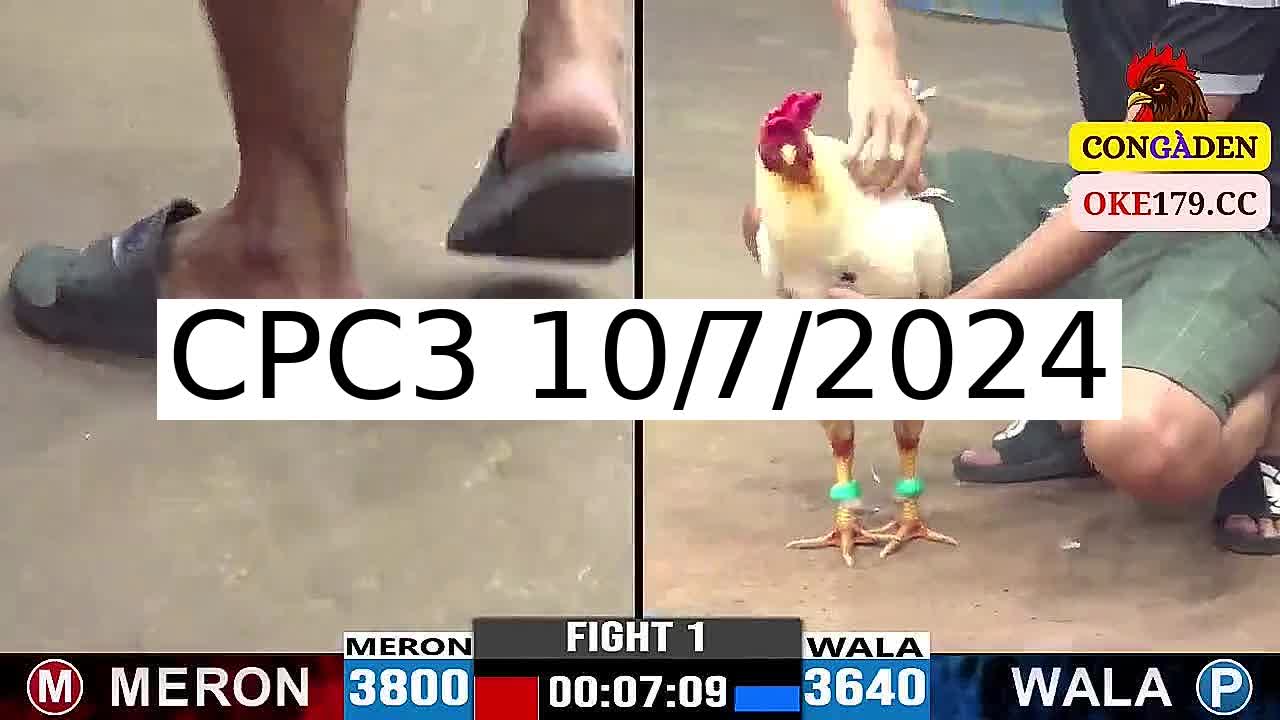 Full 26 Trận - Video đá gà trực tiếp CPC3 Campuchia ngày 10/7/2024