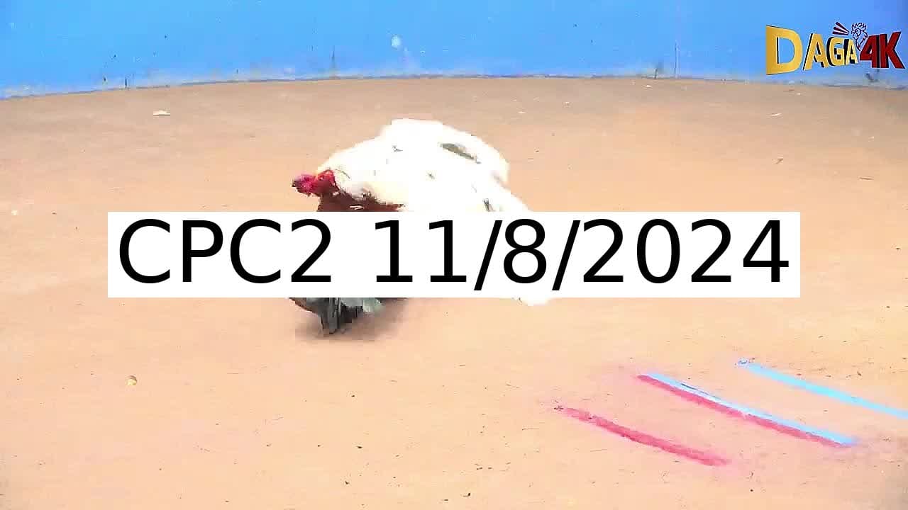 Full 27 Trận - Video đá gà trực tiếp Thomo Campuchia ngày 11/8/2024