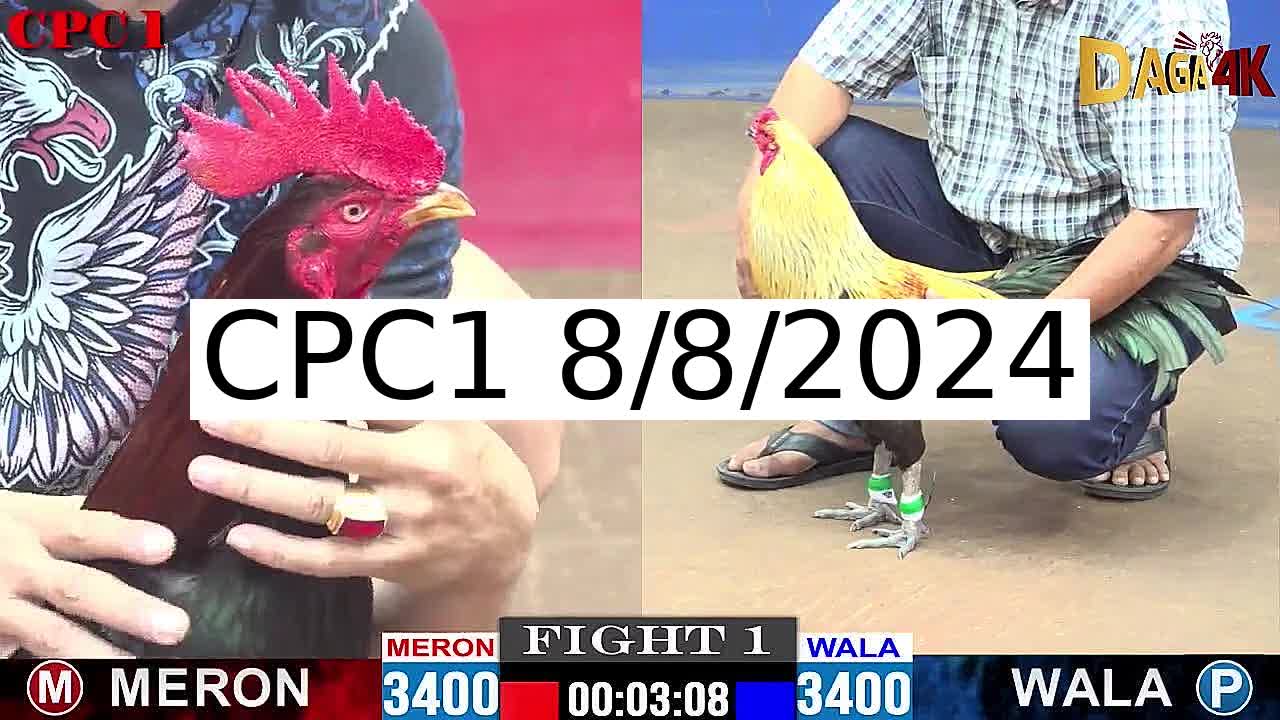 Full 20 Trận - Video đá gà trực tiếp Thomo Campuchia ngày 8/8/2024