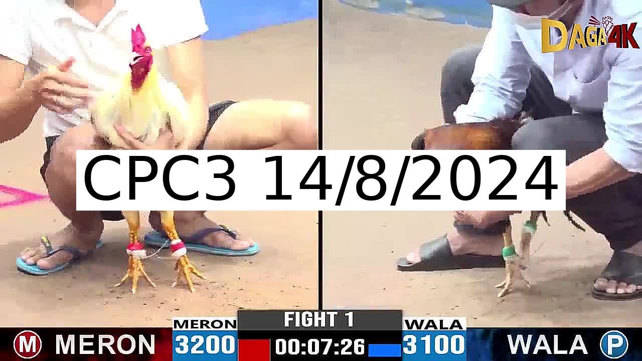 Full 40 Trận - Video đá gà trực tiếp CPC3 Campuchia ngày 14/8/2024