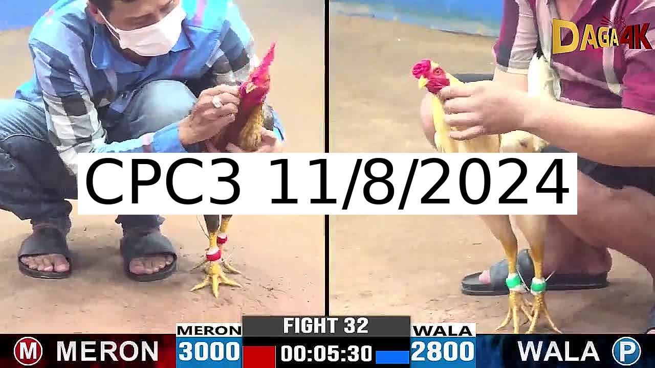 Full 70 Trận - Video đá gà trực tiếp CPC3 Campuchia ngày 11/8/2024