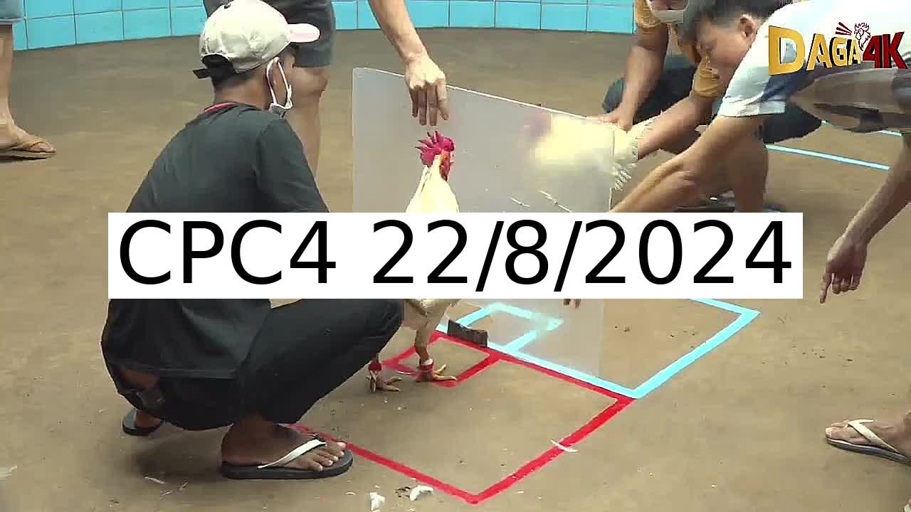 Full 28 Trận - Video đá gà trực tiếp CPC4 Campuchia ngày 22/8/2024