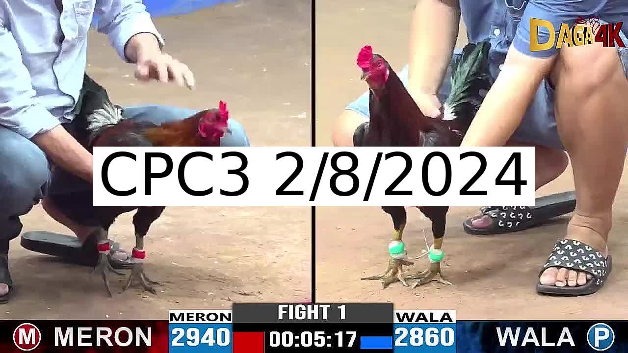 Full 20 Trận - Video đá gà trực tiếp CPC3 Campuchia ngày 2/8/2024