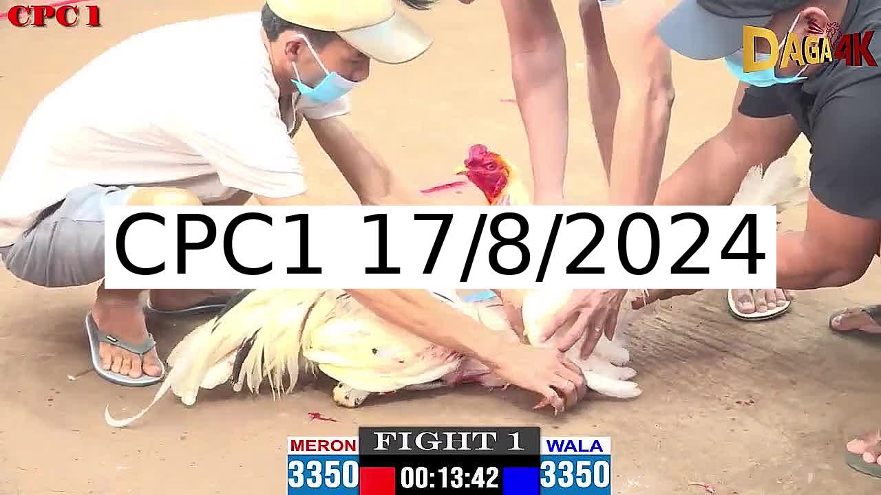 Full 17 Trận - Video đá gà trực tiếp Thomo Campuchia ngày 17/8/2024