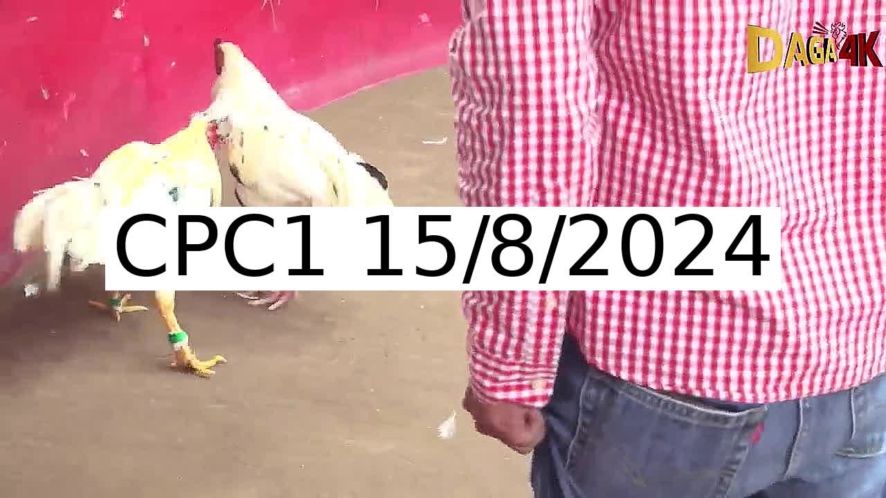 Full 21 Trận - Video đá gà trực tiếp Thomo Campuchia ngày 15/8/2024