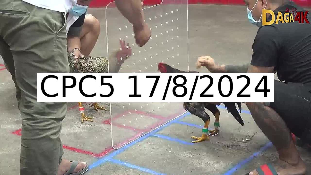 Full 20 Trận - Video đá gà trực tiếp CPC5 Campuchia ngày 17/8/2024