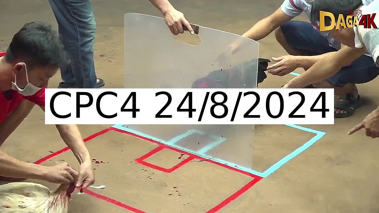 Full 33 Trận - Video đá gà trực tiếp CPC4 Campuchia ngày 24/8/2024