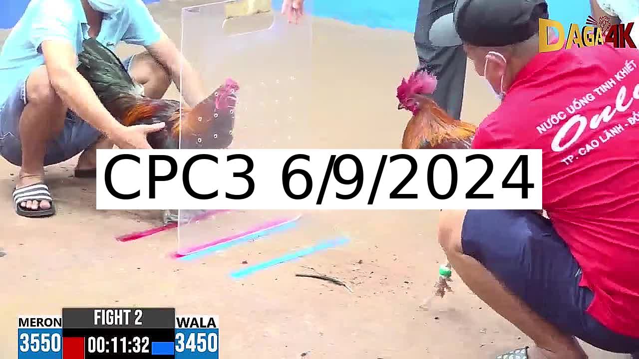 Full 7 Trận - Video đá gà trực tiếp CPC3 Campuchia ngày 6/9/2024