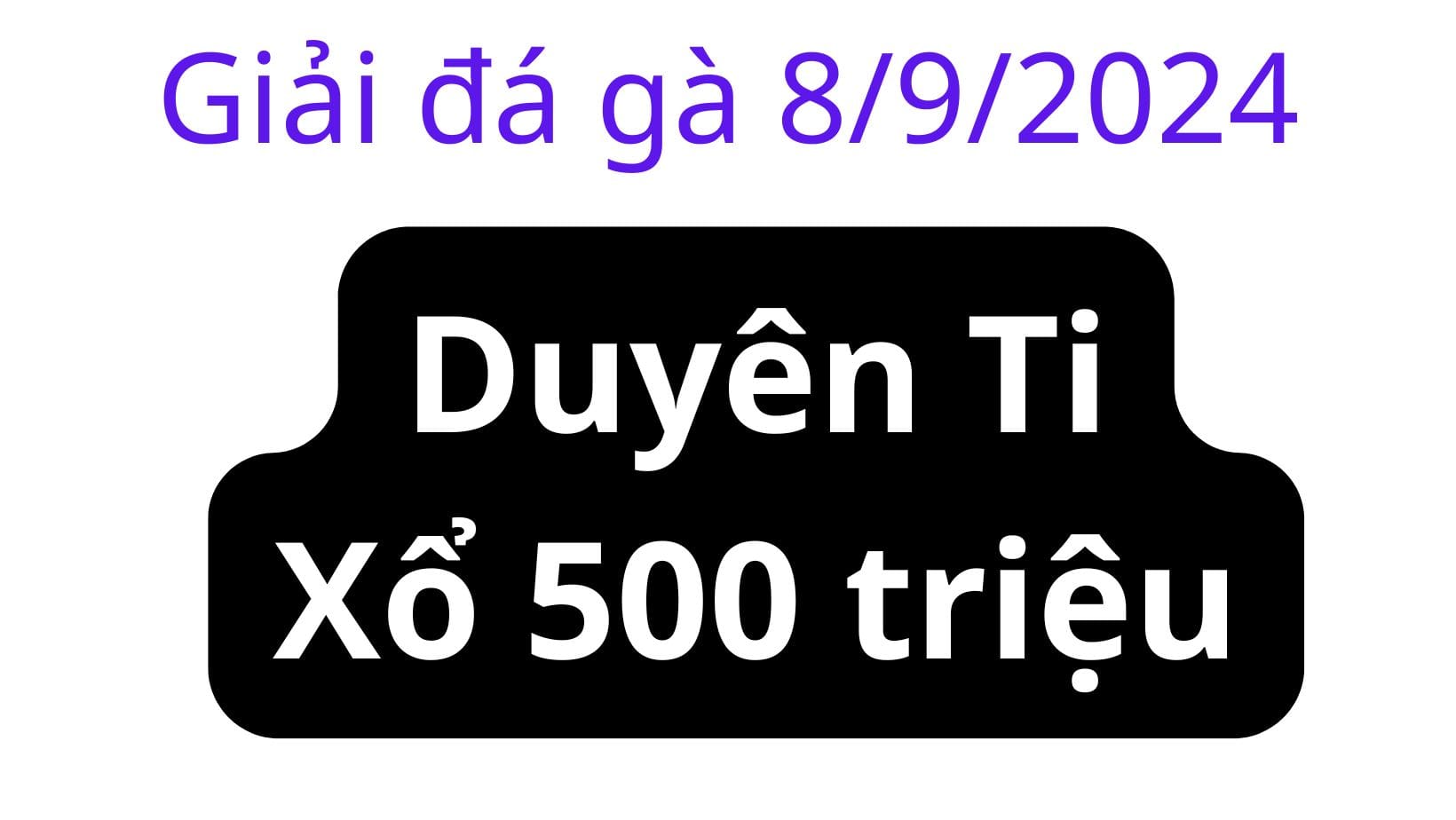 Xổ 500 Duyên Ti - tại giải Đá gà Thomo CPC3 Ngày 8/9/2024